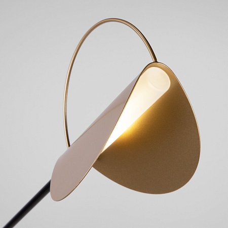 Напольный светильник Eurosvet 01143/1 черный/золото - фото