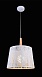 Подвесной светильник Maytoni Lantern MOD029-PL-01-W - фото