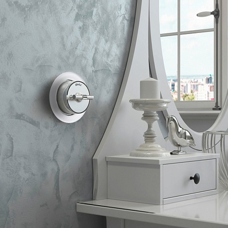 Выключатель на 4 положения двухклавишный Vintage серебро матовый/хром W5822054 - фото