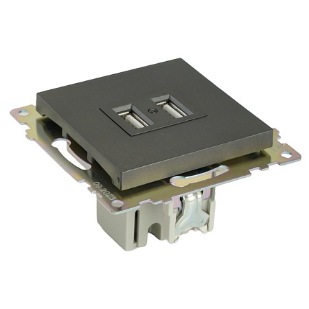 Розетка 2-местная USB (механизм), 250В, 2,1А, серия Катрин, графит, GLS10-7115-06 - фото