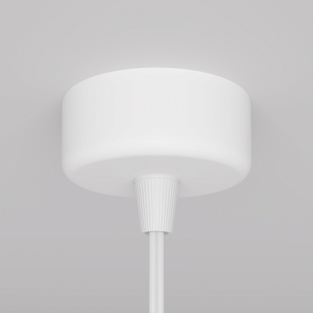 Подвесной светильник Technical Focus Design P038PL-01W - фото