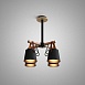Люстра Потолочная На Штанге Natura C4 Black Imperiumloft 151722-26 - фото