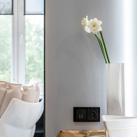 Розетка с заземлением, безвинтовой зажим черный матовый WL08-10-01 - фото