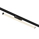 Светильник на шине Denkirs Strom DK6638-BK - фото