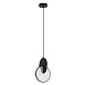 Подвесной светильник Arte lamp HANNAH A1916SP-1BK - фото