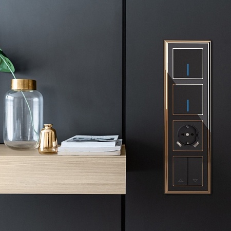 Рамка на 4 поста (золото/черный) W0041330 - фото