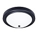 Потолочный светильник Arte Lamp JAMES A4049PL-3BK - фото