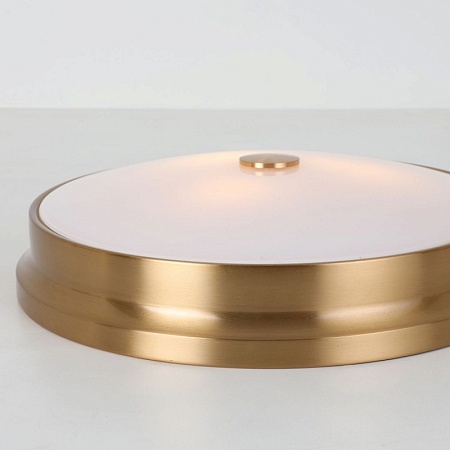 Потолочный светильник Favourite 2375-3C - фото