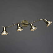 Спот Arte Lamp FOCUS A5219PL-4AB