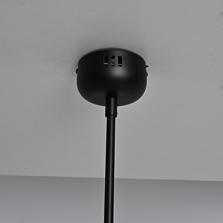 Подвесной Светильник Tevra Black D11 Imperiumloft 320045-23 - фото