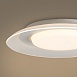 Потолочный светильник Freya FR6151CL-L69W - фото