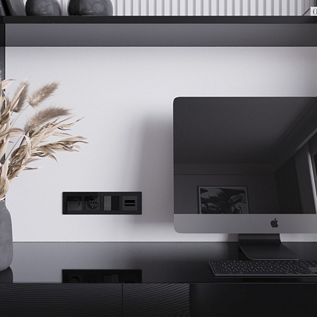 Накладка для двойной розетки Еthernet RJ-45 (черный акрил) W1191148 - фото