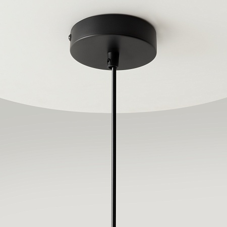 Подвесной светильник Maytoni Ring MOD013PL-02B - фото