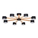 Потолочная люстра Arte Lamp TENDA A1624PL-8BK - фото