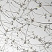 Подвесная люстра Favourite 4305-12P - фото
