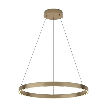 Подвесной светильник Maytoni Rim MOD058PL-L32BS3K - фото