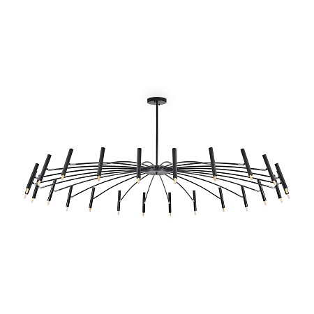 Люстра Freya FR5570PL-24B - фото