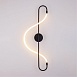 Настенный светильник Arte Lamp KLIMT A2850AP-13BK - фото