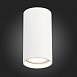 Светильник потолочный Белый LED 1*15W 3000K 1 200Lm Ra>90 60° IP44 D75xH140 220-265V ST157.532.15 - фото
