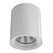 Точечный накладной светильник Arte Lamp FACILE A5130PL-1WH - фото