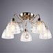 Потолочная люстра ARTE LAMP A1658PL-5AB - фото