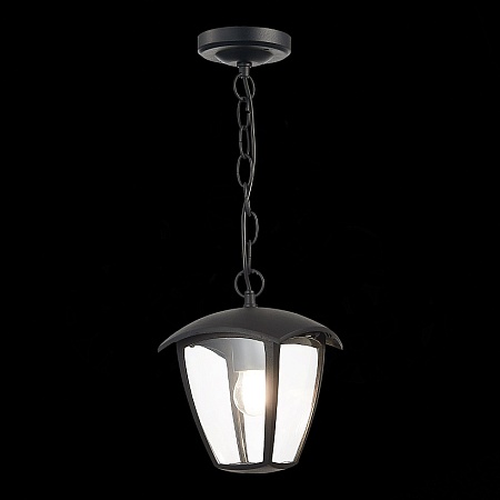 Светильник уличный подвесной ST-Luce Черный/Черный, Прозрачный E27 1*40W SL081.403.01 - фото