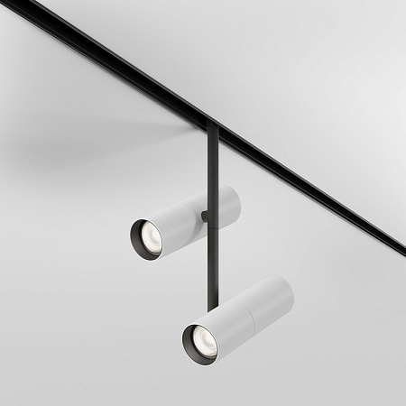 Трековый светильник Technical Elti Duo TR005-4-2X12W-DS-BW - фото