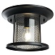 Светильник садово-парковый Feron PL723 на потолок  60W E27 230V, черный - фото