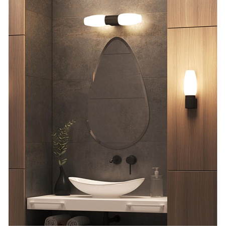 Подсветка для зеркал Arte Lamp AQUA-BASTONE A1209AP-1BK - фото