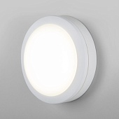 Пылевлагозащищенный светодиодный светильник 15W 6500K IP65 LTB51 Elektrostandard