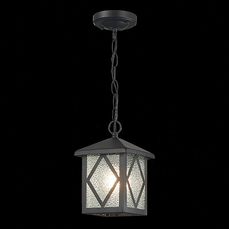 Светильник уличный подвесной ST-Luce Черный/Черный, Прозрачный E27 1*60W SL084.403.01 - фото