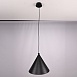 Подвесной Светильник Roundew D29 Black Imperiumloft 302464-26 - фото