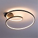 Потолочная люстра Arte Lamp MILLO A3893PL-30BK - фото