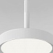 Подвесной светильник Plate 50260 LED - фото