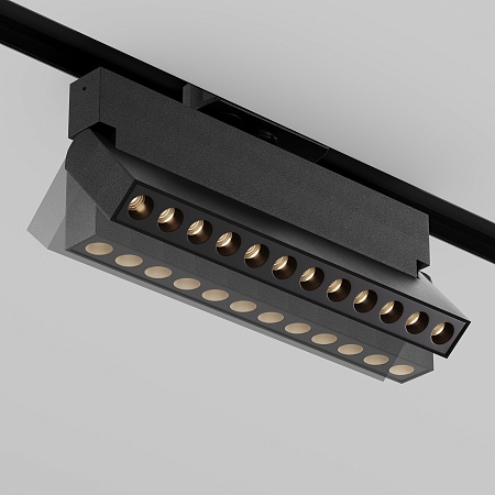 Трековый светильник Technical TR224-1-12WCCT-M-B - фото