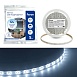 Светодиодная LED лента Feron LS604, 60SMD(2835)/m 4.8W/m 12V IP65 5m, 6500К - фото