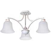 Потолочная люстра ARTE LAMP A2713PL-3WG