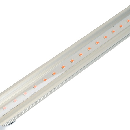 Лампа светодиодная для растений T8 Feron LB-7063 G13 0,6м 11W 175-265V красно-синий спектр пластик - фото