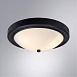 Потолочный светильник Arte Lamp JAMES A4049PL-3BK - фото