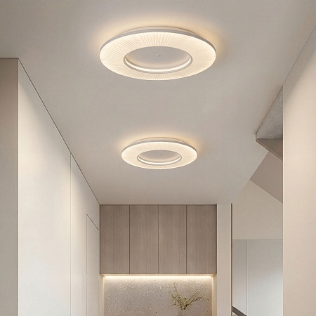 Потолочный светильник Eurosvet 101003 LED - фото