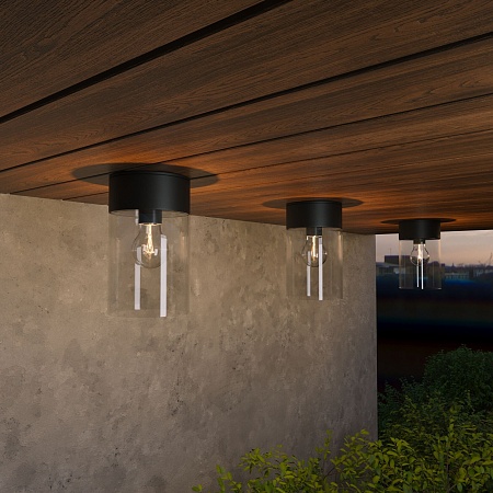 Уличный потолочный светильник 35085/F черный Elektrostandard - фото