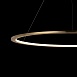 10014XL Подвесной светильник LOFT IT Ring - фото