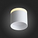 Светильник потолочный Белый LED 1*9W 3000K 702Lm Ra>80 120° IP20 D79xH75 170-240V ST102.502.09 - фото