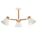 Светильник потолочный Светлое дерево, Белый/Белый E27 3*60W SLE103702-03 - фото