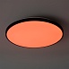 Потолочный светильник Freya FR6211CL-L24B - фото