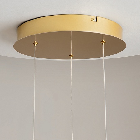 Подвесной светильник Maytoni Foresight MOD347PL-L24BS3K - фото