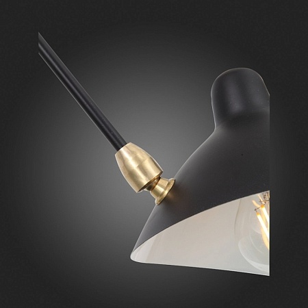 Люстра потолочная ST-Luce Черный/Черный, Белый E27 6*60W SL305.402.06 - фото