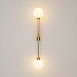 Настенный светильник (бра) Maytoni TEATRO MOD287WL-02BS - фото