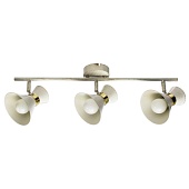 Спот Arte Lamp BALTIMORE A1406PL-3WG