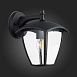 Светильник уличный настенный ST-Luce Черный/Черный, Прозрачный E27 1*40W SL081.411.01 - фото